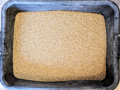 25lb Grain Bucket